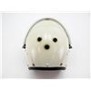 Image 2 : GERMAN POLICE RIOT HELMET