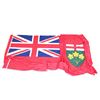 Image 1 : FLAG OF ONTARIO