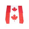 Image 2 : CANADIAN NATIONAL FLAG LOT