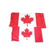 Image 1 : CANADIAN NATIONAL FLAG LOT