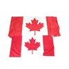 Image 2 : CANADIAN NATIONAL FLAG LOT