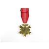 Image 2 : REPRODUCTION GERMAN 2ND CLASS OLYMPIC HONOUR CROSS