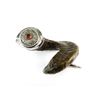 Image 1 : RAM HORN SNUFF