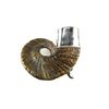 Image 2 : RAM HORN SNUFF