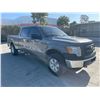 Image 2 : FORD F-150 2013 T-2 DAYS
