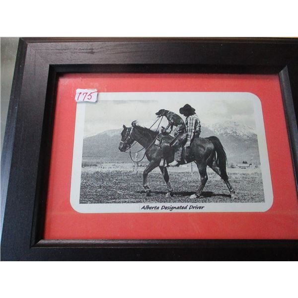 FRAMED ALBERTA DESIGNATED DRIVER PICTURE