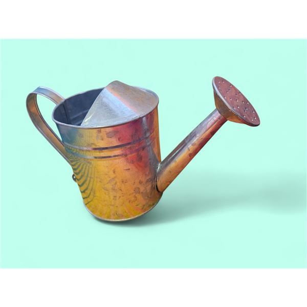 Small watering can