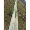 Image 4 : *OFFSITE WOODLANDS*   2 Treated Hydro Poles 36ft High x 