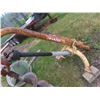 Image 4 : *OFFSITE WOODLANDS*   Shaver 3PH 12'' Post Hole  