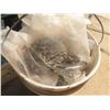 Image 1 : 5gal Pail of Sheet Metal Screws 