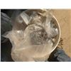 Image 2 : 5gal Pail of Sheet Metal Screws 