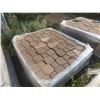Image 1 : 2 Pallets of Interlocking Bricks 