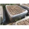 Image 2 : 2 Pallets of Interlocking Bricks 
