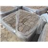 Image 2 : 2 Pallets of Interlocking Bricks 
