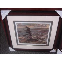 Limited Edition Print 235/995 Stormy Weather