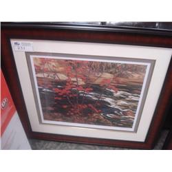 Ltd Edition Print 578/1750 Red Maple