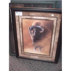 Framed Buffalo