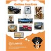 Image 1 : Online Auction