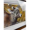 Image 3 : "Mountain Baby - Bighorn Sheep" by, Carl Brenders