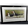 Image 1 : Robert Bateman Black Skimmer Art Print