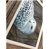 Image 2 : Framed Bird Art Prints