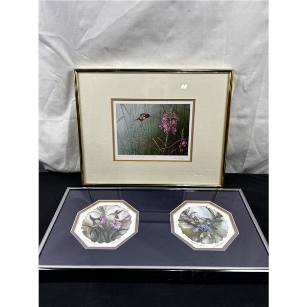 Framed Hummingbird Art Prints