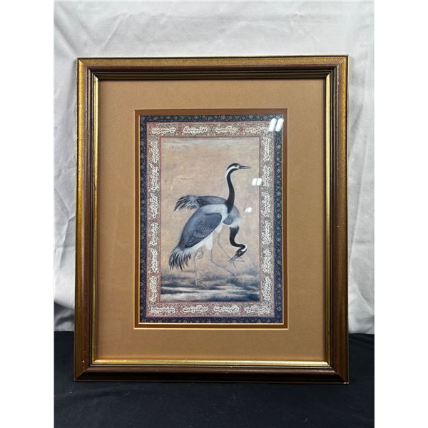 Framed Bird Art Print
