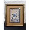 Image 1 : Framed Bird Art Print