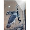 Image 2 : Framed Bird Art Print