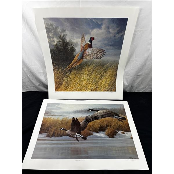 Marla Wilson Art Prints