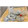 Image 2 : LARGE GROUP OF NUTS, BOLTS, WASHERS AND PALLET RACKING CLIPS