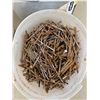 Image 4 : 303 -- MISCELLANEOUS NAILS + SCREWS