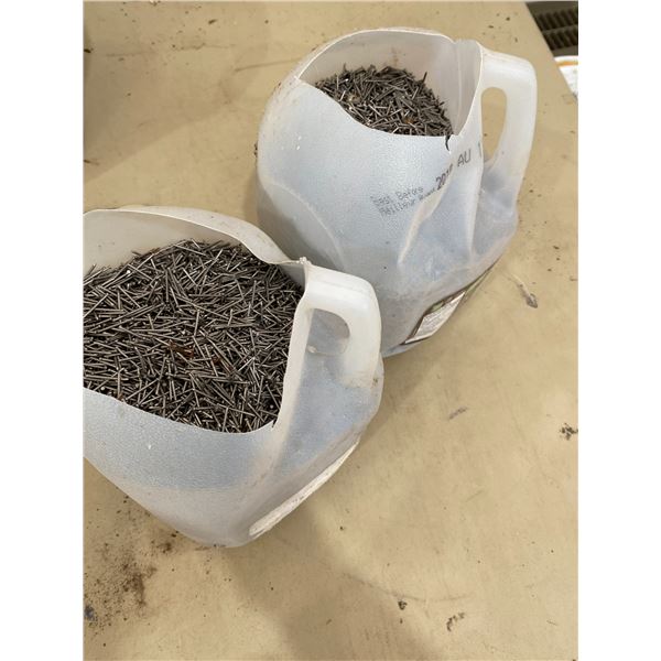 304 -- MISCELLANEOUS NAILS