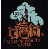 Image 3 : A Collection of Sleeping Beauty Castle Pins.