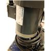Image 5 : CONVOYEUR À LAMILLE INOX PALLETTE 125" AVEC MOTEUR 1/2hp 230v