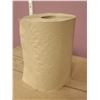 Image 1 : BTE DE 12 ESSUI-MAINS CASCADES H045B