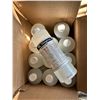 Image 2 : BTE DE 12 MAGNUS MAGCLEAN, NETTOYANT ANTISEPTIQUE