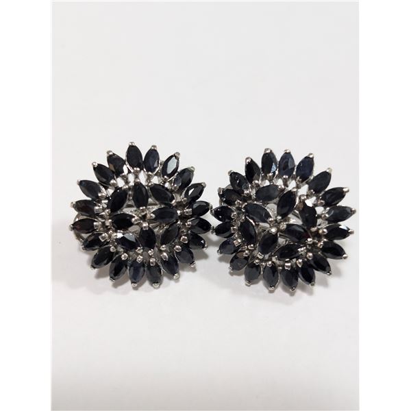 $600  Si(8.27G),Sapphire Earrings