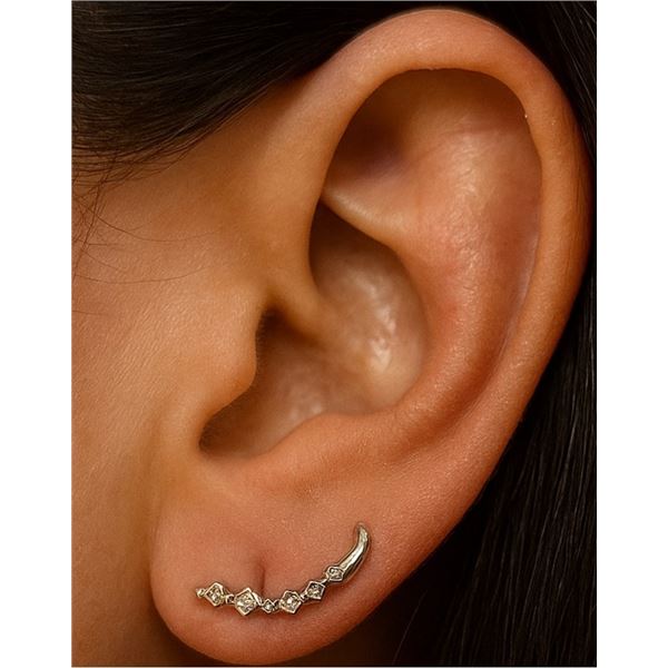 $1000  10K(1.14G) Earrings