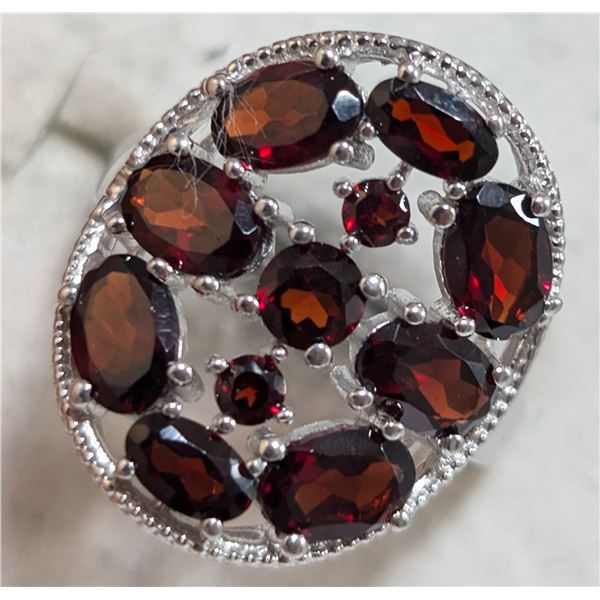 $240  Si(3.8G),Garnet(4.95Ct) Ring