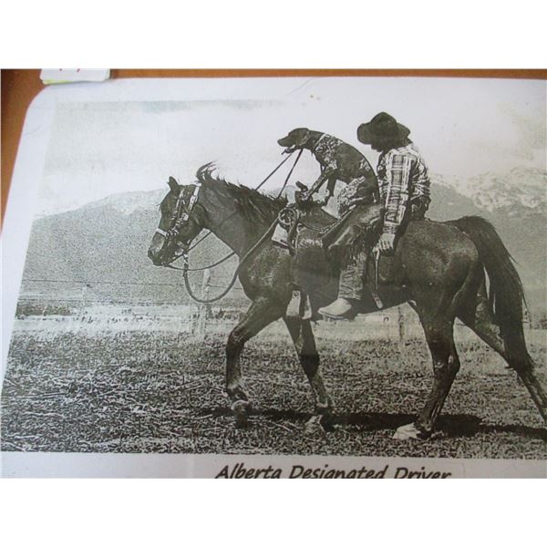 FRAMED PHOTO "ALBERTA DESIGNATED DRIVER" PICTURE