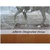 Image 3 : FRAMED PHOTO "ALBERTA DESIGNATED DRIVER" PICTURE