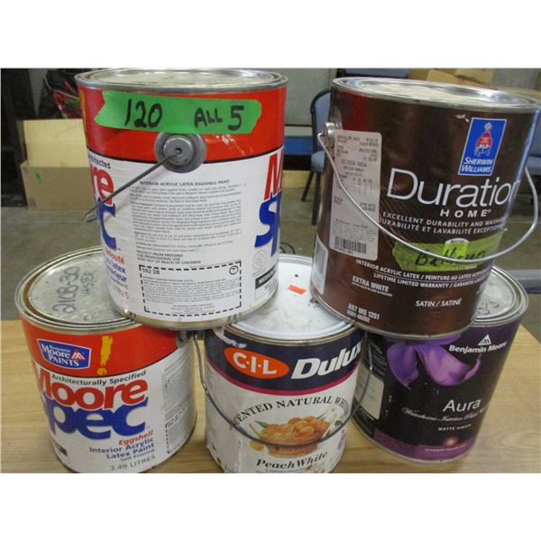 PAINT - 5 GALLONS