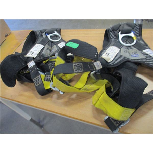 2 - NONCERTIFIED SAFETY HARNESS