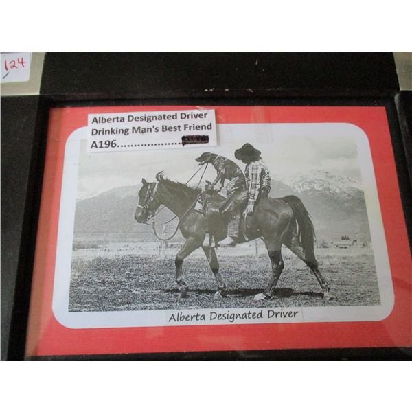 FRAMED "ALBERTA DESIGNATED DRIVER" PICTURE