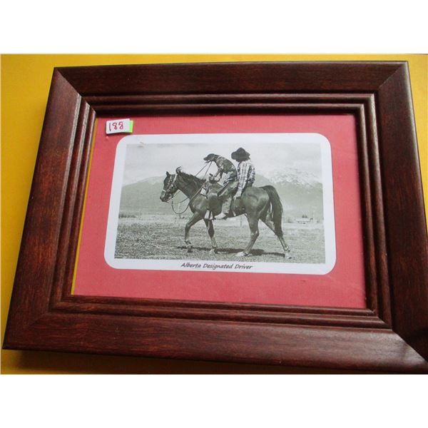 FRAMED "ALBERTA DESIGNATED DRIVER" PICTURE
