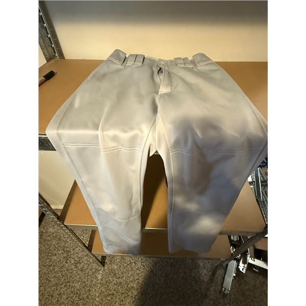Mizuno Performance Gray Baseball Pants