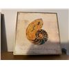 Image 1 : Snail Painted Wall Hanging