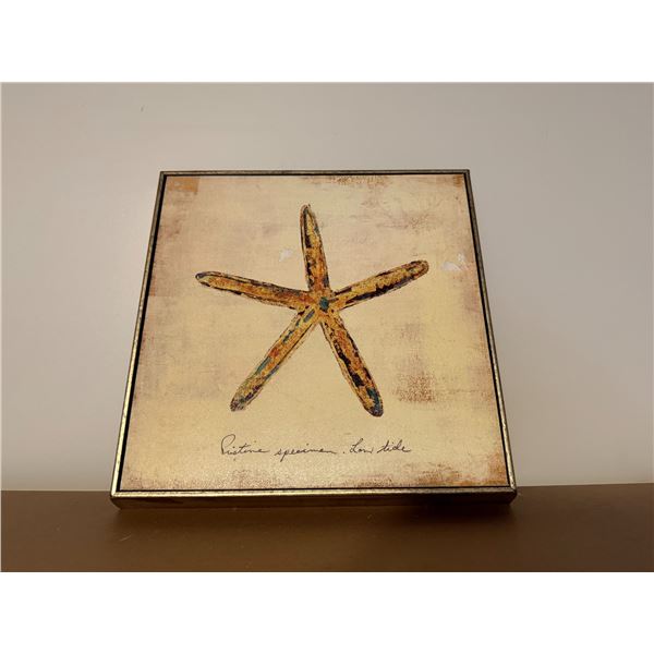 Starfish Painted Wall Hanging