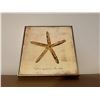 Image 1 : Starfish Painted Wall Hanging